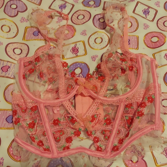 For Love And Lemons Other - For Love And Lemons Pink Floral Embroidered Bra